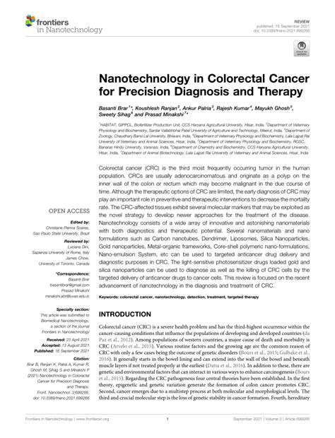 PDF Nanotechnology In Colorectal Cancer For Precision Diagnosis And