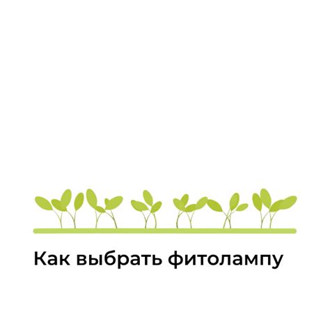Интернет-магазин по продаже семян – магазин для садоводов и огородников ...