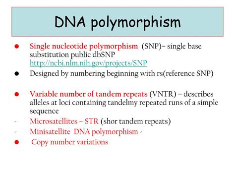 Ppt S Tructure Of Dna Powerpoint Presentation Free Download Id4596070