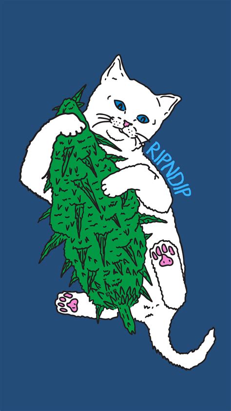 Ripndip Wallpaper Hd Cat Green Cartoon Illustration Felidae