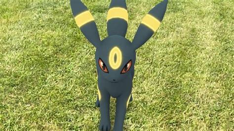 Comment Faire Voluer Evoli En Umbreon Dans Pok Mon Go