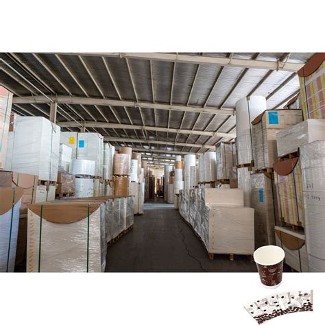 Gsm Pe Single Sided Coated Takeaway Packaging Disposable Raw