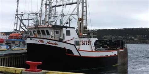 Search Underway For Fishing Vessel Overdue Off Northeast Coast Vocm