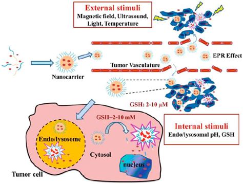 Frontiers Physically Stimulus Responsive Nanoparticles For Therapy