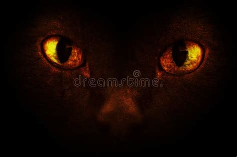 Evil Red Devil Demonic Eyes Stock Illustration Illustration Of