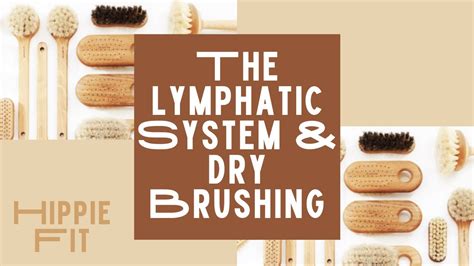 The Lymphatic System And The Benefits Of Dry Brushing Youtube