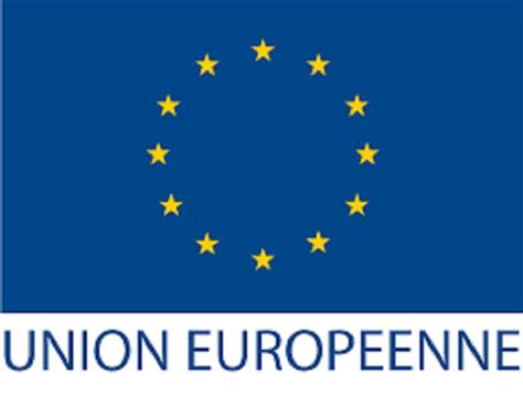 La D L Gation De Lunion Europ Enne Ue Recrute Pour Ce Poste