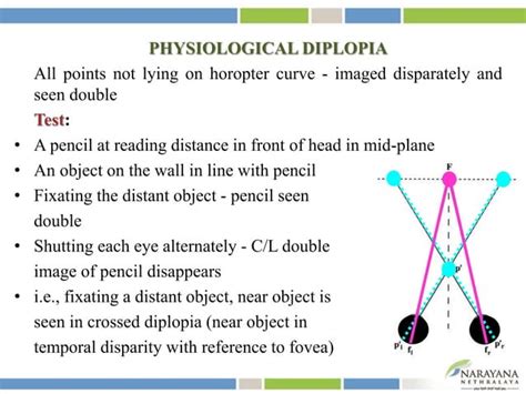 Binocular vision | PPT