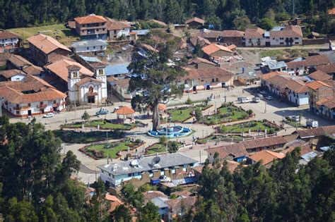 Parque Nacional Alto Purús potencia cadena productiva del huasaí para