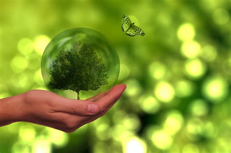 Imagem De Sustentabilidade Ambiental - Mais de 50.000 imagens grátis de Sustentabilidade Meio Ambiente e ...