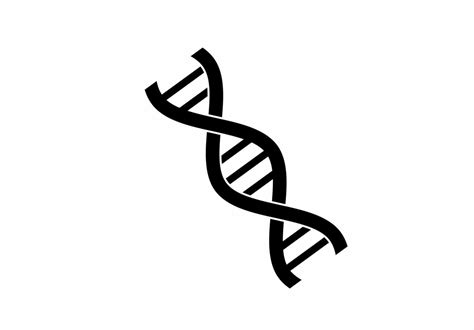 Dna Helix Icon Isolated On White Background 9784950 Vector Art At Vecteezy