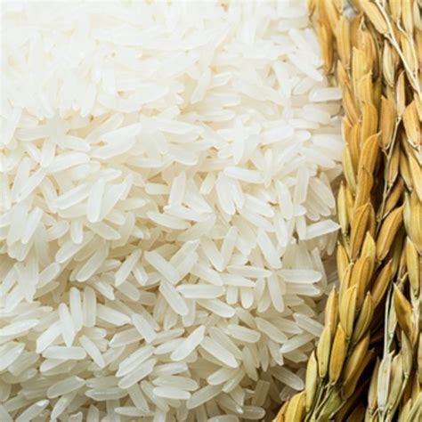 Milled Rice Offers From India