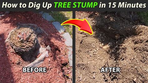 How To Get Rid Of Tree Stumps And Roots In 10 Minutes Diy Tree Stump Removal Use A Machine