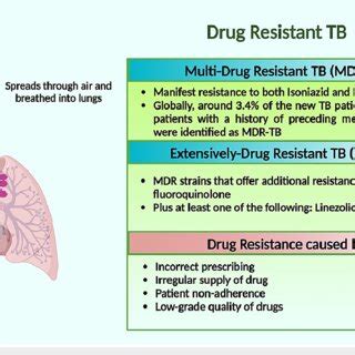 Schematic presentation of multidrug-resistant TB and extensively ...