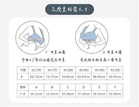 【內有對照表】如何正確測量胸圍？內衣尺寸怎麼換算呢？ Sexy In Shape Blog