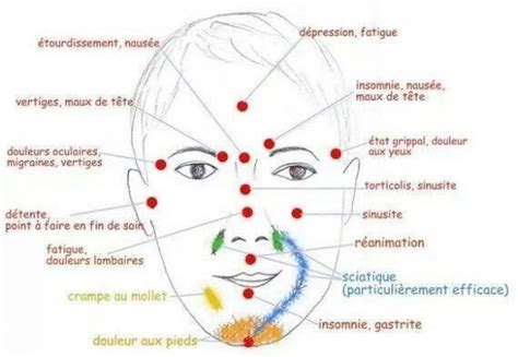 Points de pression ou de massage bons à connaître Acupuntura orelha