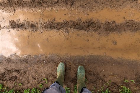 Cia Agricoltori Italiani Suolo Cia Avanti Su Legge Contro Il