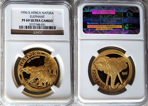 South African Gold Coins | Certified South African Coins | Buy South ...