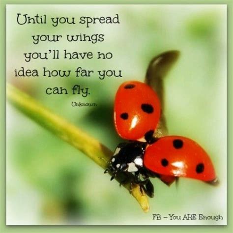 What The Ladybug Whispered Ladybug Quotes Ladybug Good Luck Quotes