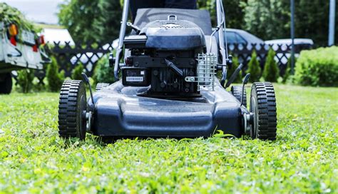 How To Measure Lawn Mower Cutting Height Obsessed Lawn