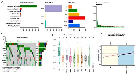 Cimb Free Full Text Analysis Of Somatic Mutations In The Tcga Lihc