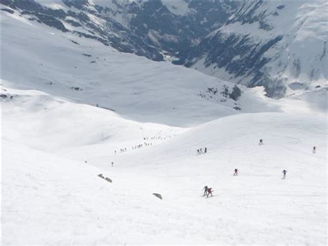 Adamello Ski Mountaineering Pisganino Ascending From Rifugio