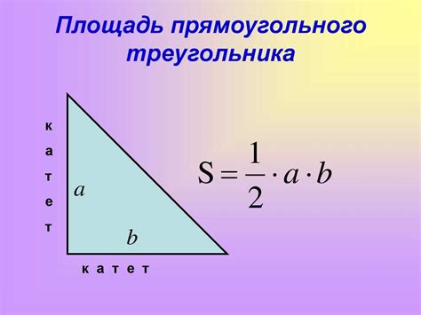 Как найти площадь треугольника 82 фото