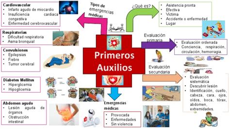 Mapa Mental Primeros Auxilios Pdf