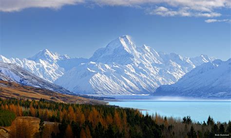 Aorakimount Cook Mackenzie Basin New Zealand Guided Holidays New