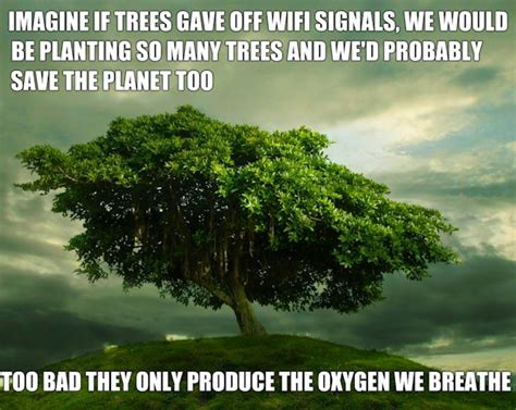 Arbor Day 2017 Memes That Will Remind You Just How Important Trees Are