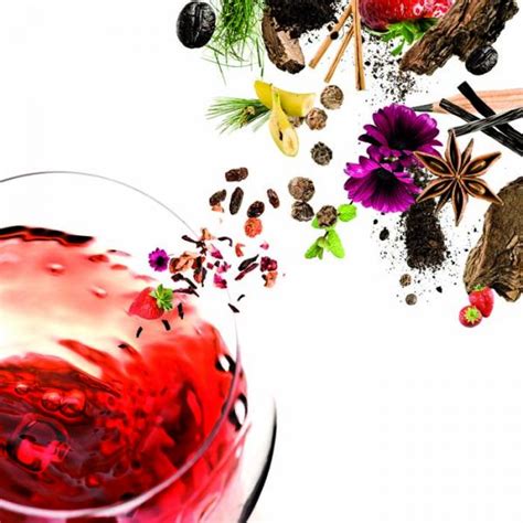 Conoce Todos Los Aromas Del Vino