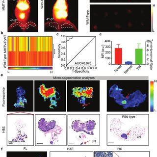 Nanoprobe Synthesis And Characterization TEM Images Of A SiV And B