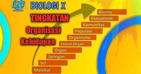 organisasi kehidupan  tingkat terendah hingga tingkat tertinggi