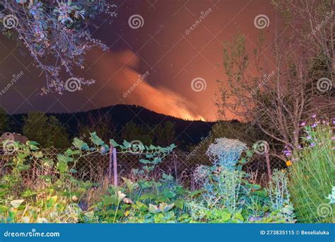 Forest Fire with a Large Cloud of Smoke Rising Stock Image - Image of burn, dangerous: 273835115