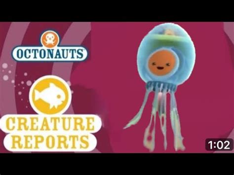 Octonauts Creature Reports Immortal Jellyfish Youtube