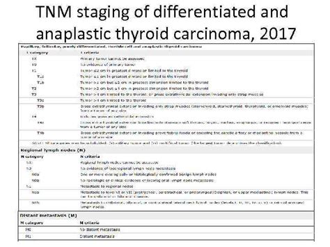 Dr Nodelman Marina Thyroid Cancers 1