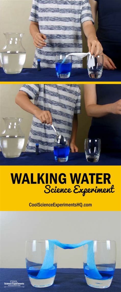 Walking Water Science Experiment