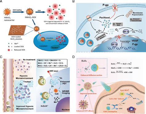 A Experimental Design Of The Intracellular Gsh Triggered Release Of