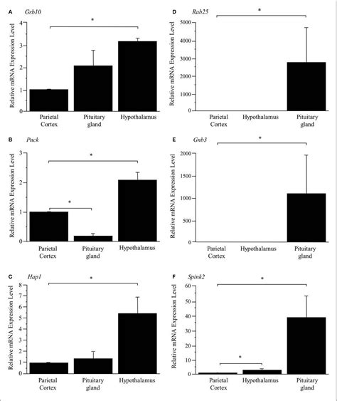 Figure 1 From Transcriptome Wide Identification Of Preferentially