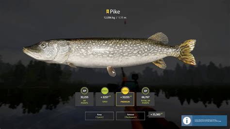 Russian Fishing Trophy Pike Old Burg Lake Youtube