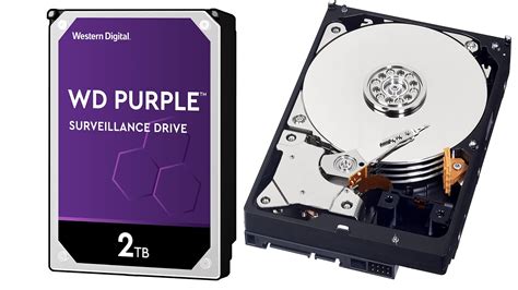 Western Digital Purple Surveillance Hdd Speed Test Youtube