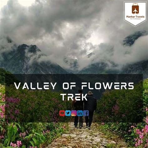 Valley of Flowers Trek - Valley of Flowers Trekking | Valley of flowers ...