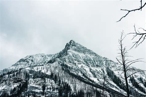 Snowy Hikes in Waterton Lakes National Park · Free Stock Photo