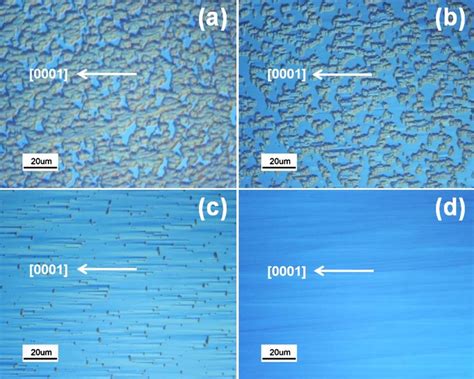 Color online Nomarski optical microscopy images of samples A-D, showing ...