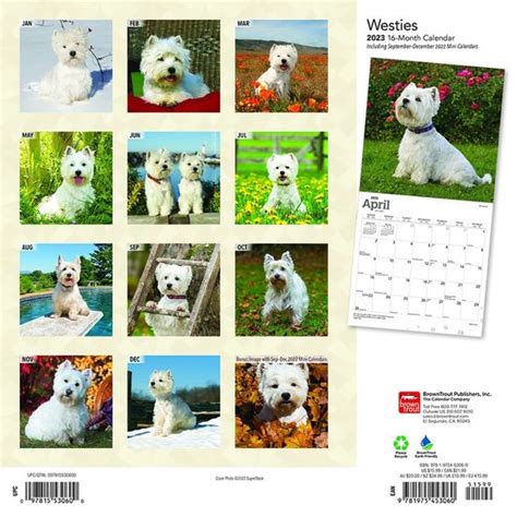 West Highland White Terrier Kalender Bol