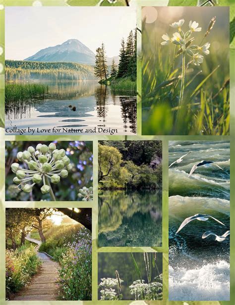 Collage By Love For Nature And Disign Vackra Bilder Sommar Collage