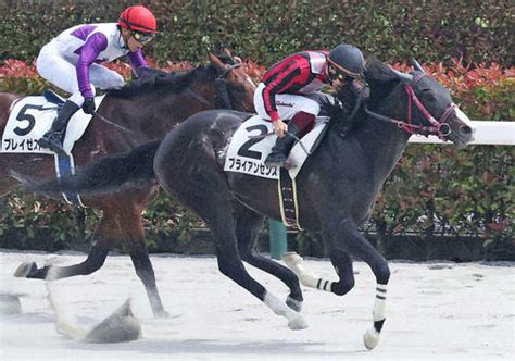 【毎日ベスト3】東西デスクが厳選！18日日曜のワイド1点勝負ベスト3 毎日ベスト3 競馬コラム 日刊スポーツ