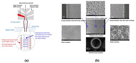 Membranes Free Full Text Design Strategies For Forward Osmosis