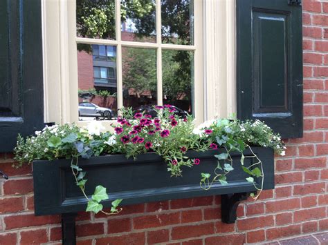 Window-Boxes-and-Shutters-(5) | Architectural Depot