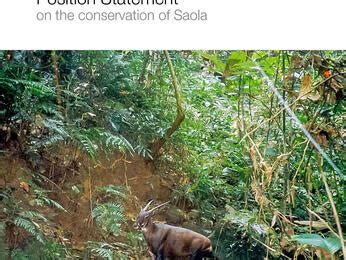 IUCN Commission Statement on the Conservation of Saola - resource | IUCN